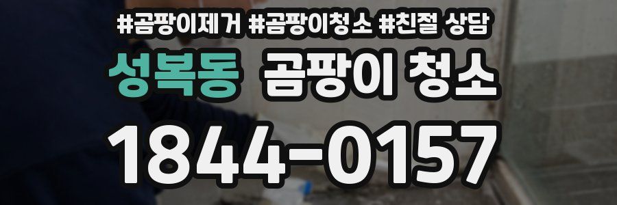 성복동 곰팡이 청소