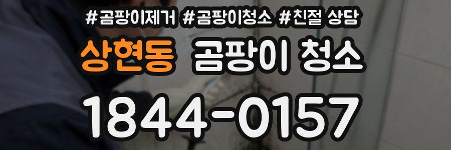 상현동 곰팡이 청소