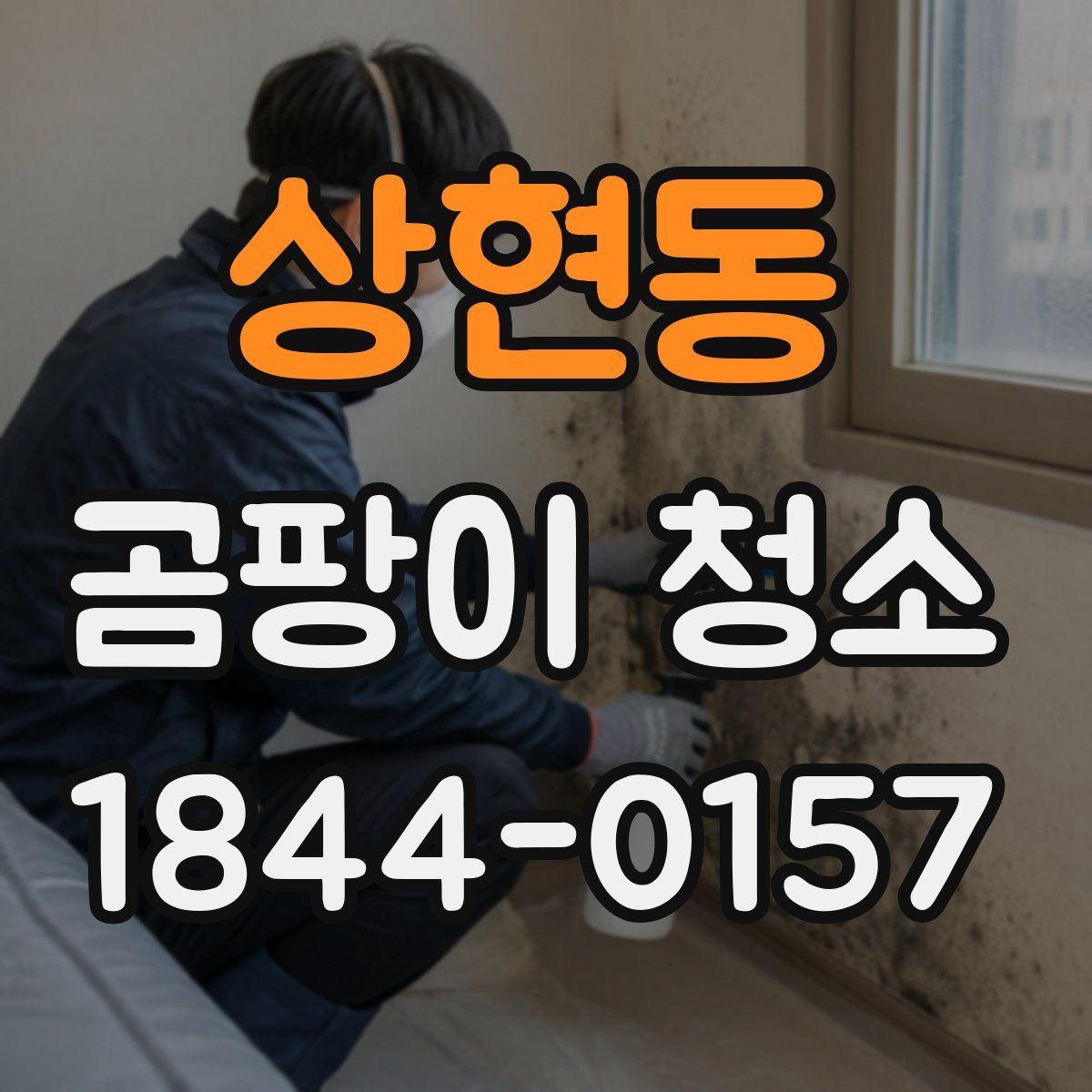 상현동 곰팡이 청소
