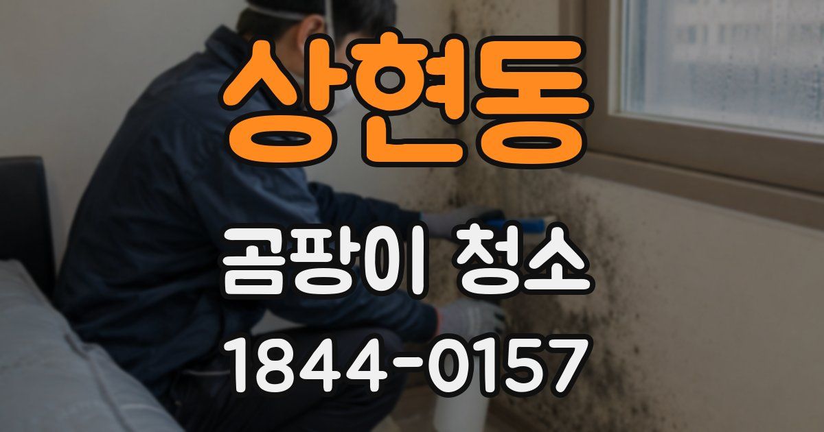 상현동 곰팡이 청소