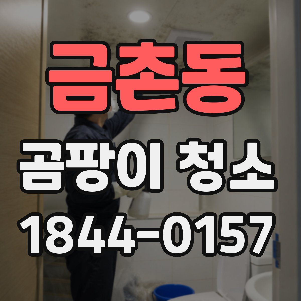 금촌동 곰팡이 청소