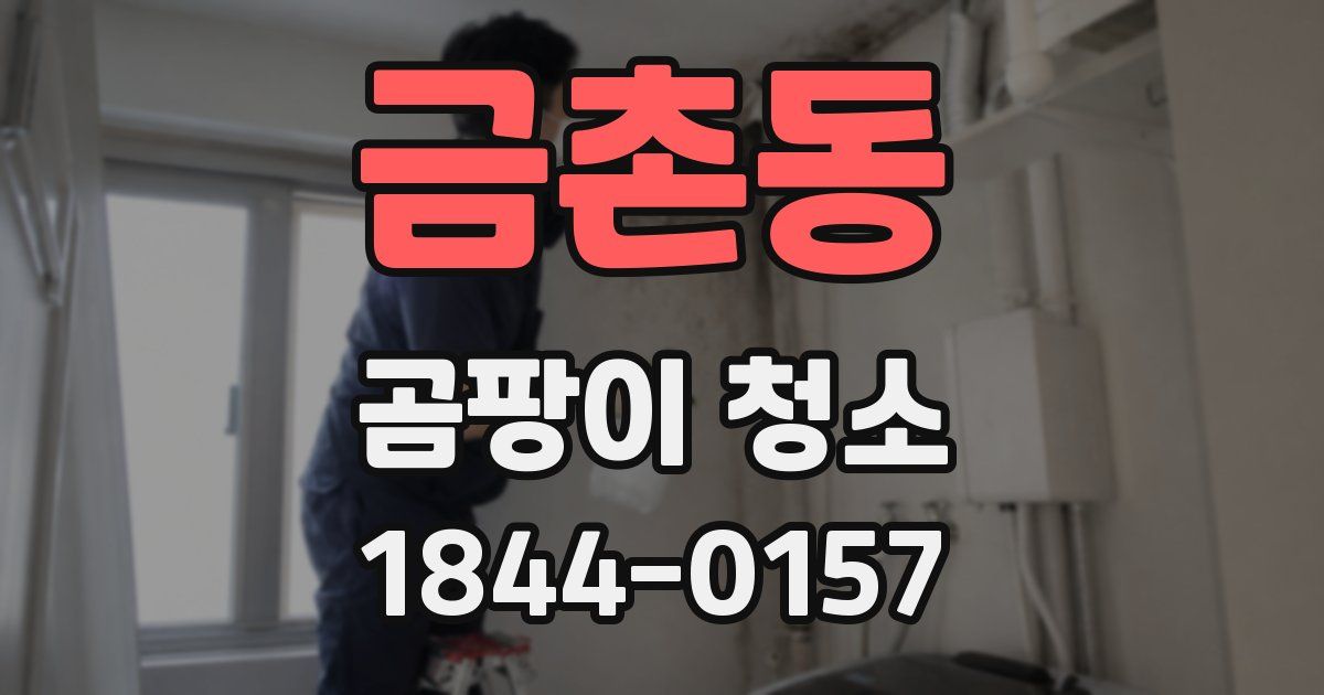 금촌동 곰팡이 청소