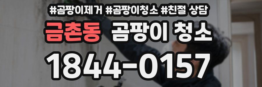 금촌동 곰팡이 청소
