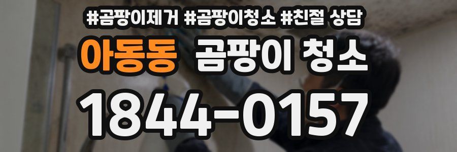 아동동 곰팡이 청소