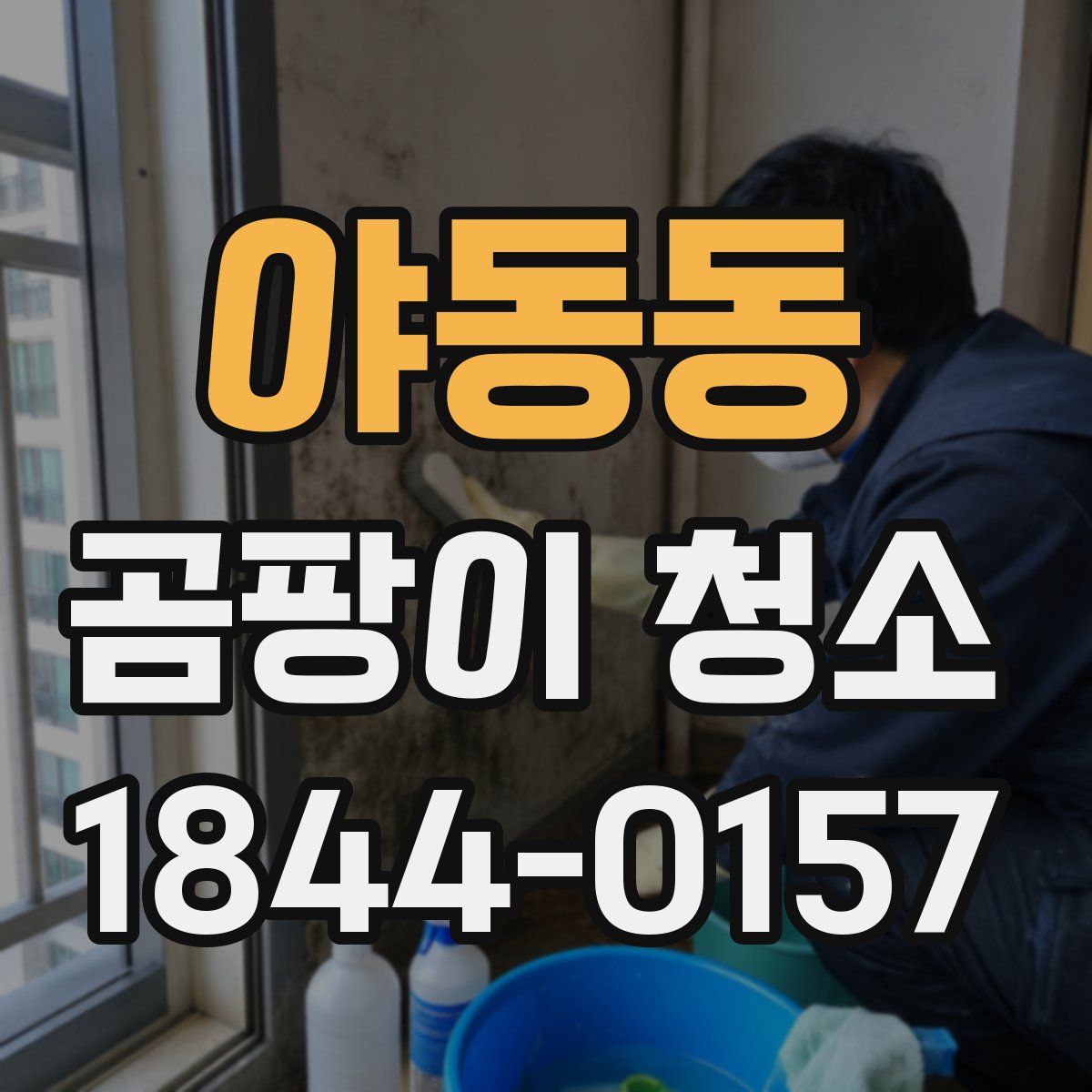 야동동 곰팡이 청소