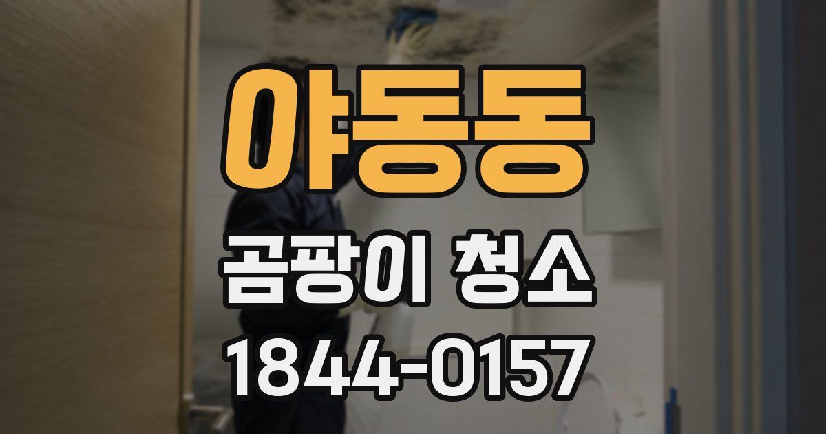 야동동 곰팡이 청소