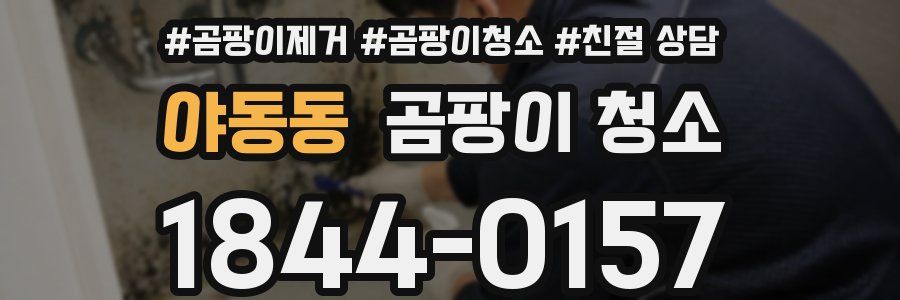 야동동 곰팡이 청소