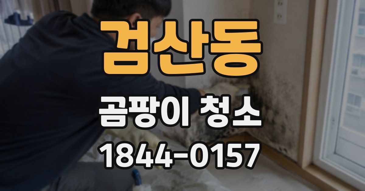 검산동 곰팡이 청소