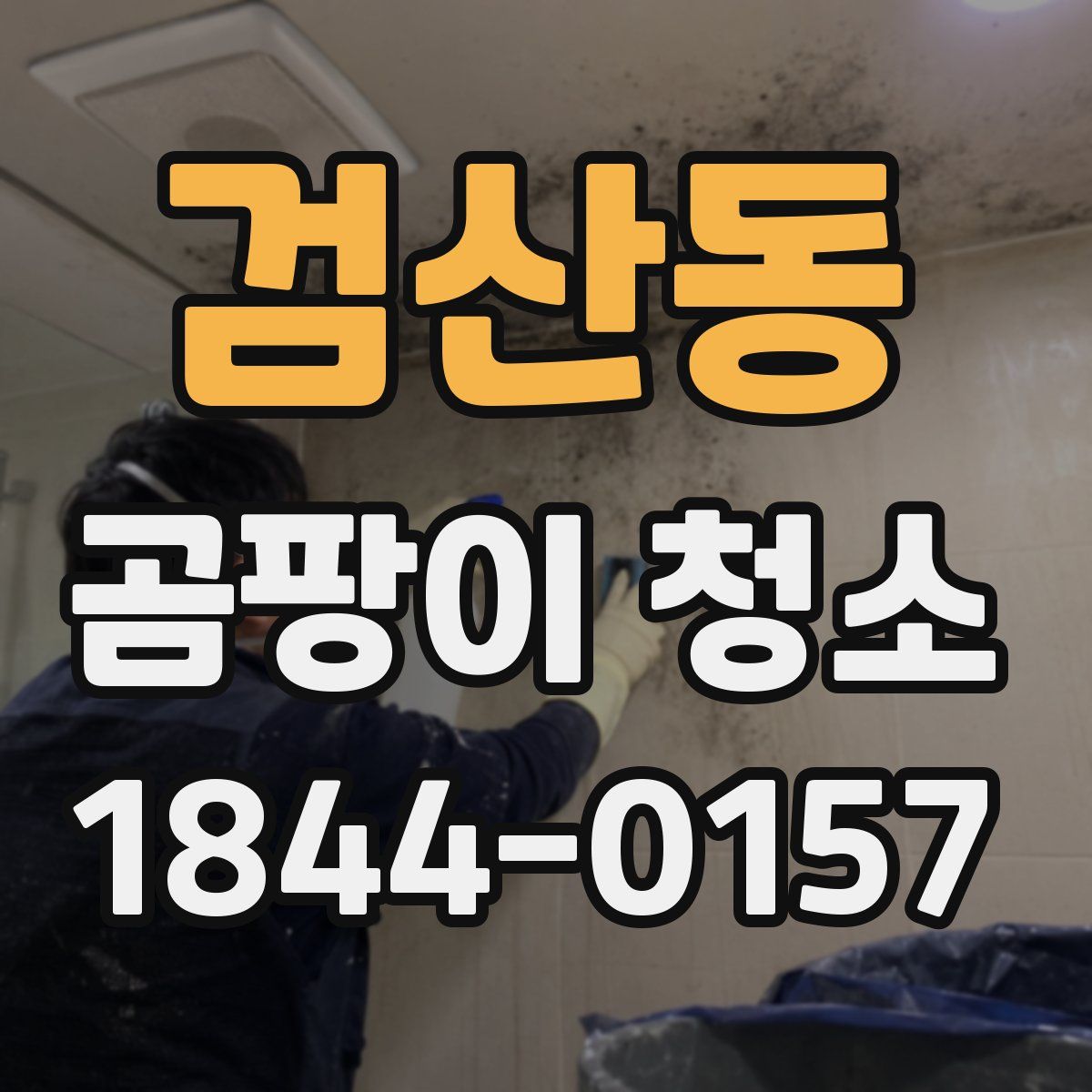 검산동 곰팡이 청소