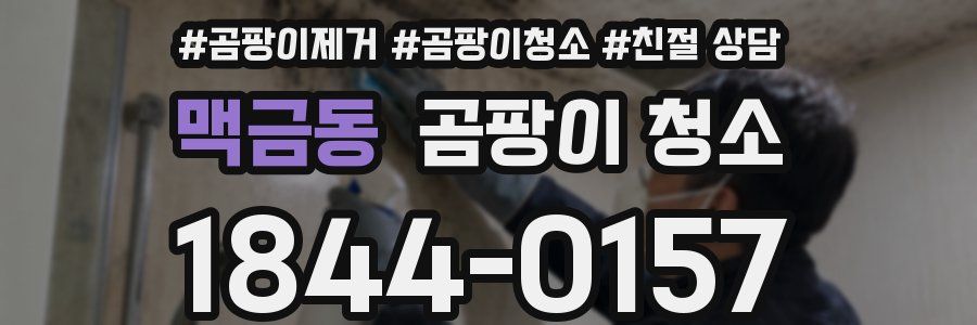 맥금동 곰팡이 청소