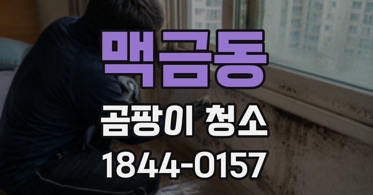 맥금동 곰팡이 청소