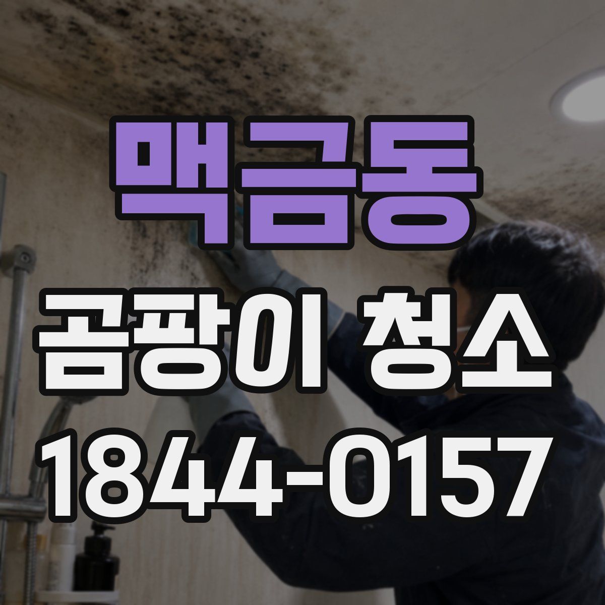 맥금동 곰팡이 청소