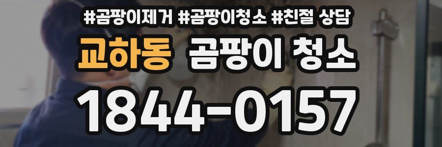 교하동 곰팡이 청소