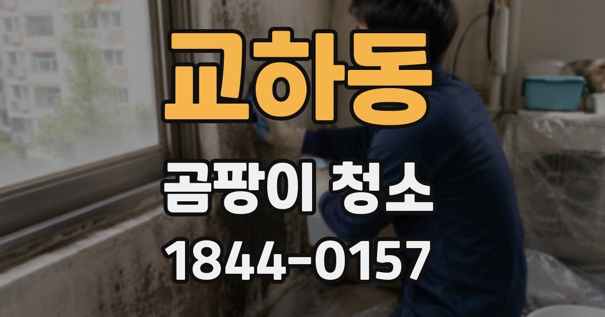 교하동 곰팡이 청소
