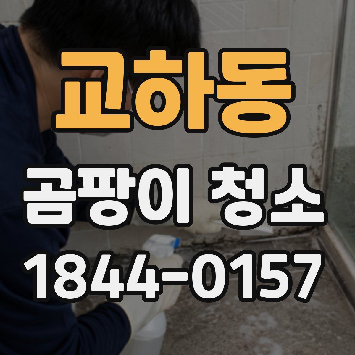 교하동 곰팡이 청소