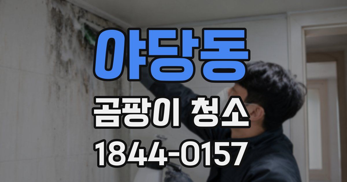 야당동 곰팡이 청소