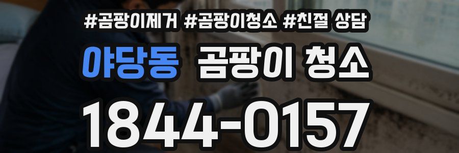야당동 곰팡이 청소