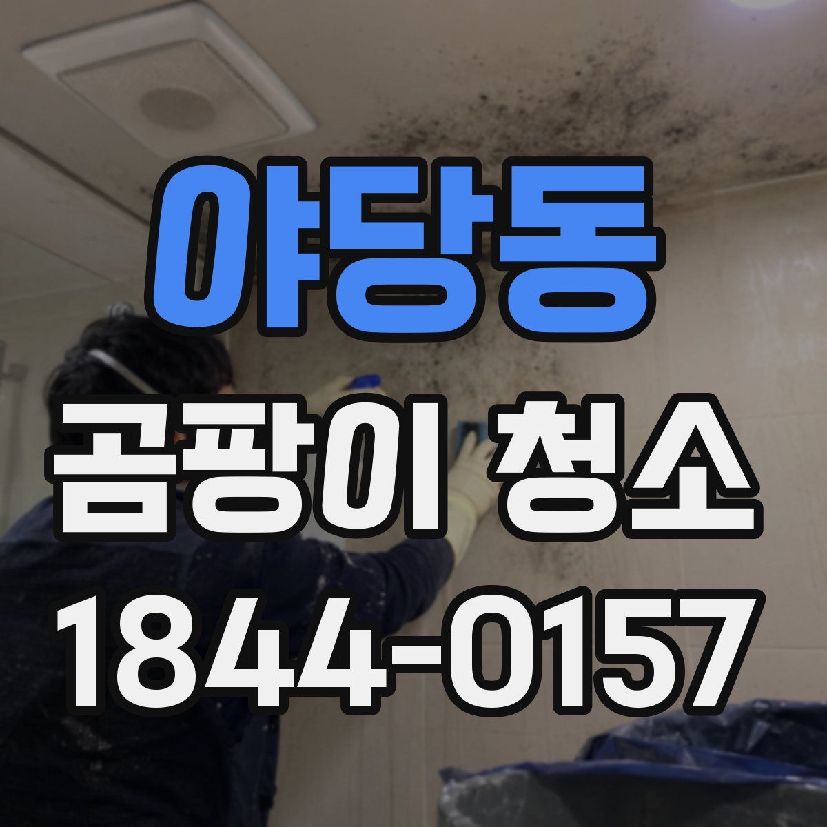 야당동 곰팡이 청소