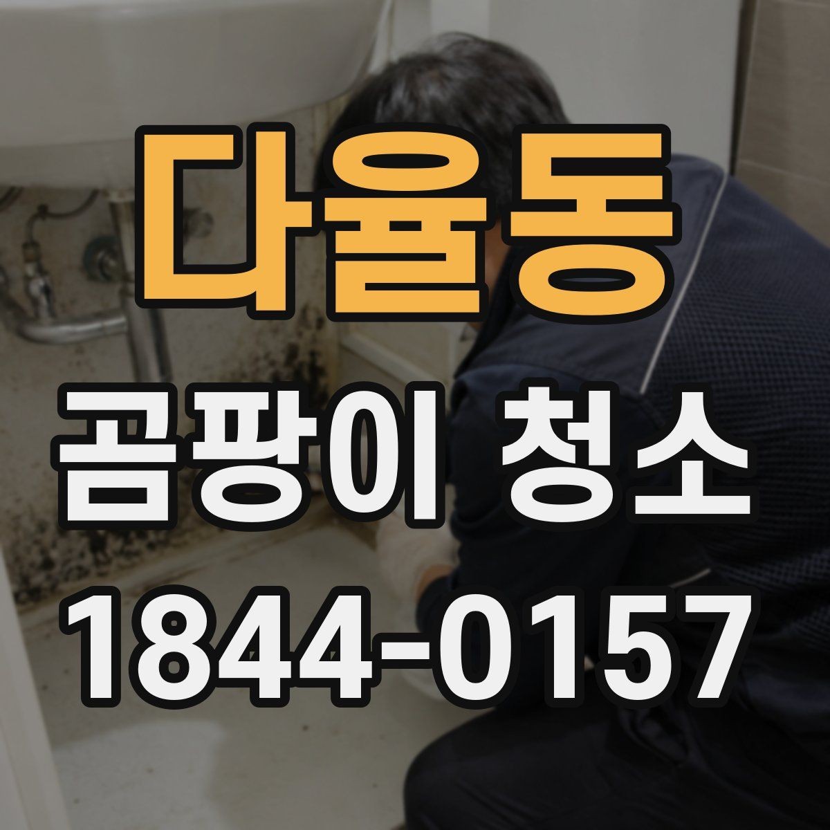 다율동 곰팡이 청소 업체 상담 시 질문해야 할 내용