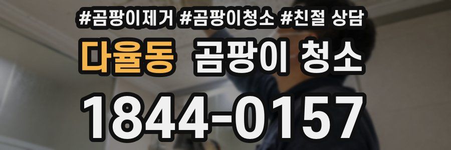 다율동 곰팡이 청소