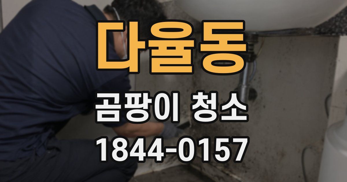 다율동 곰팡이 청소