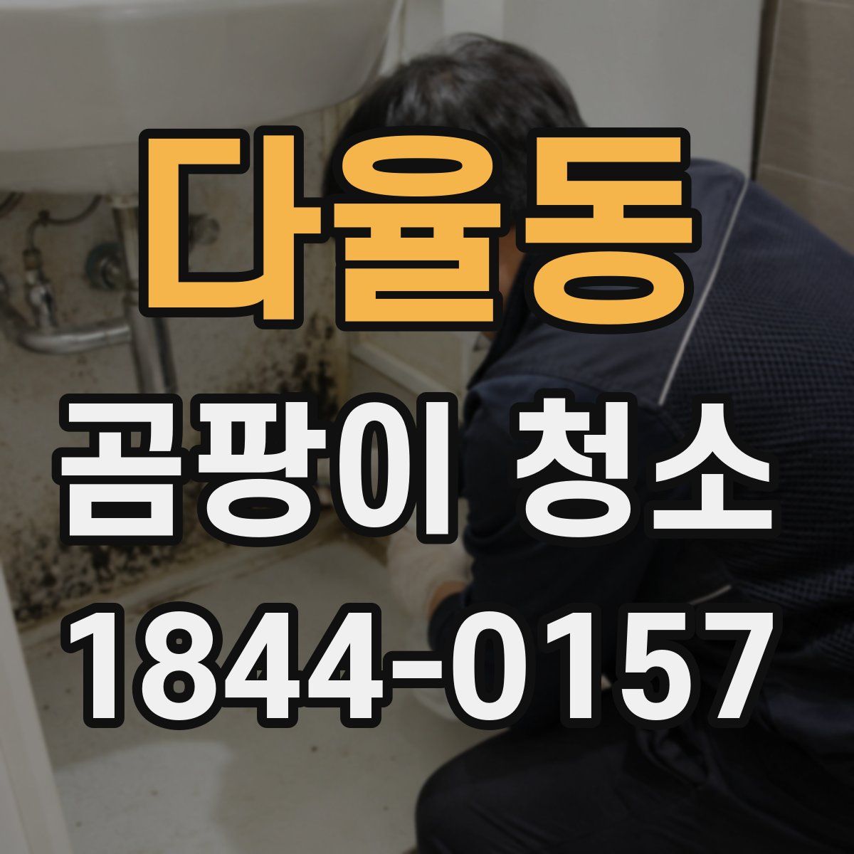 다율동 곰팡이 청소