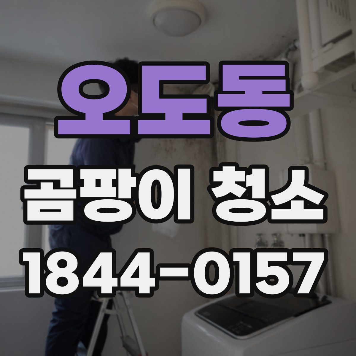 오도동 곰팡이 청소