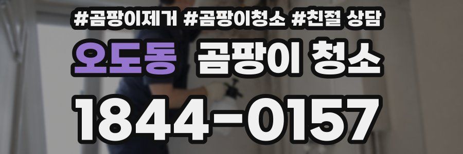 오도동 곰팡이 청소