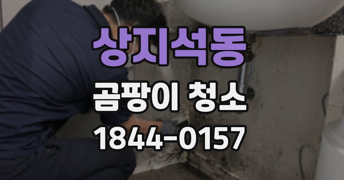 상지석동 곰팡이 청소