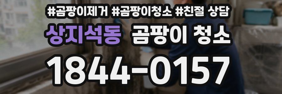 상지석동 곰팡이 청소