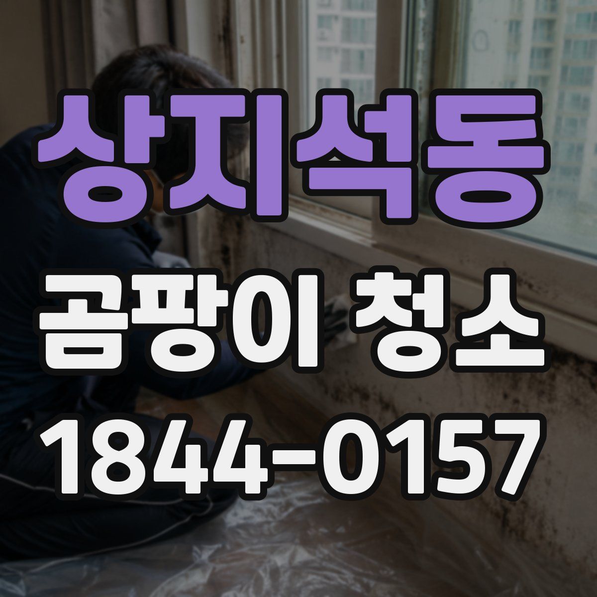 상지석동 곰팡이 청소