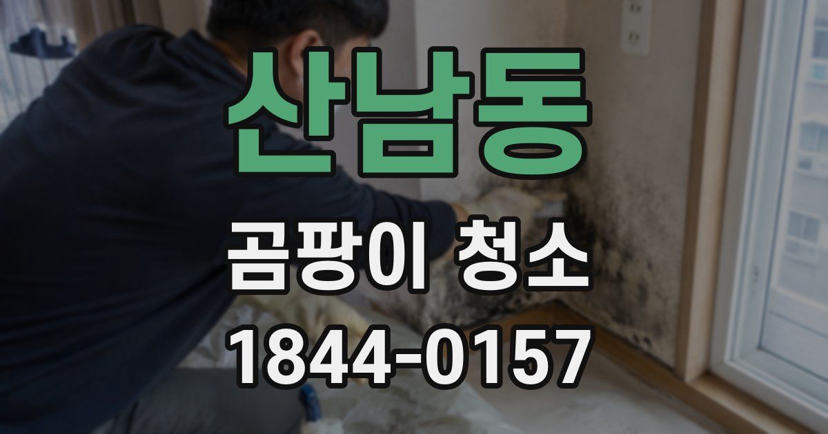 산남동 곰팡이 청소