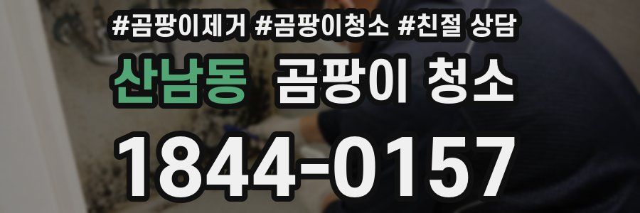 산남동 곰팡이 청소