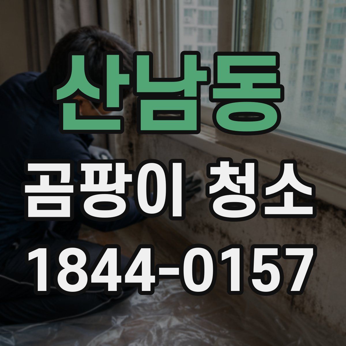 산남동 곰팡이 청소