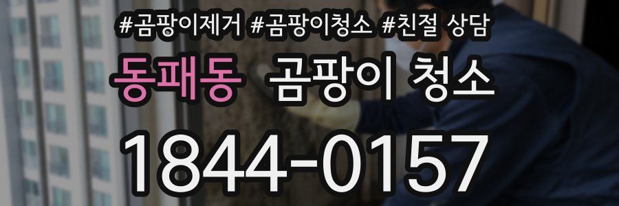 동패동 곰팡이 청소