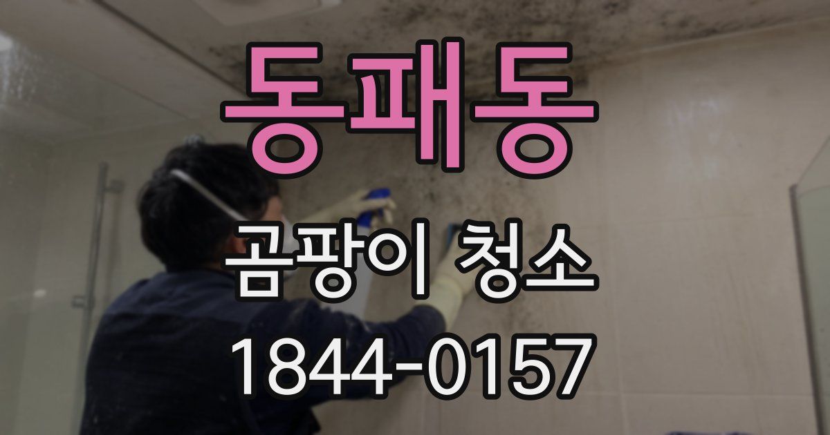 동패동 곰팡이 청소