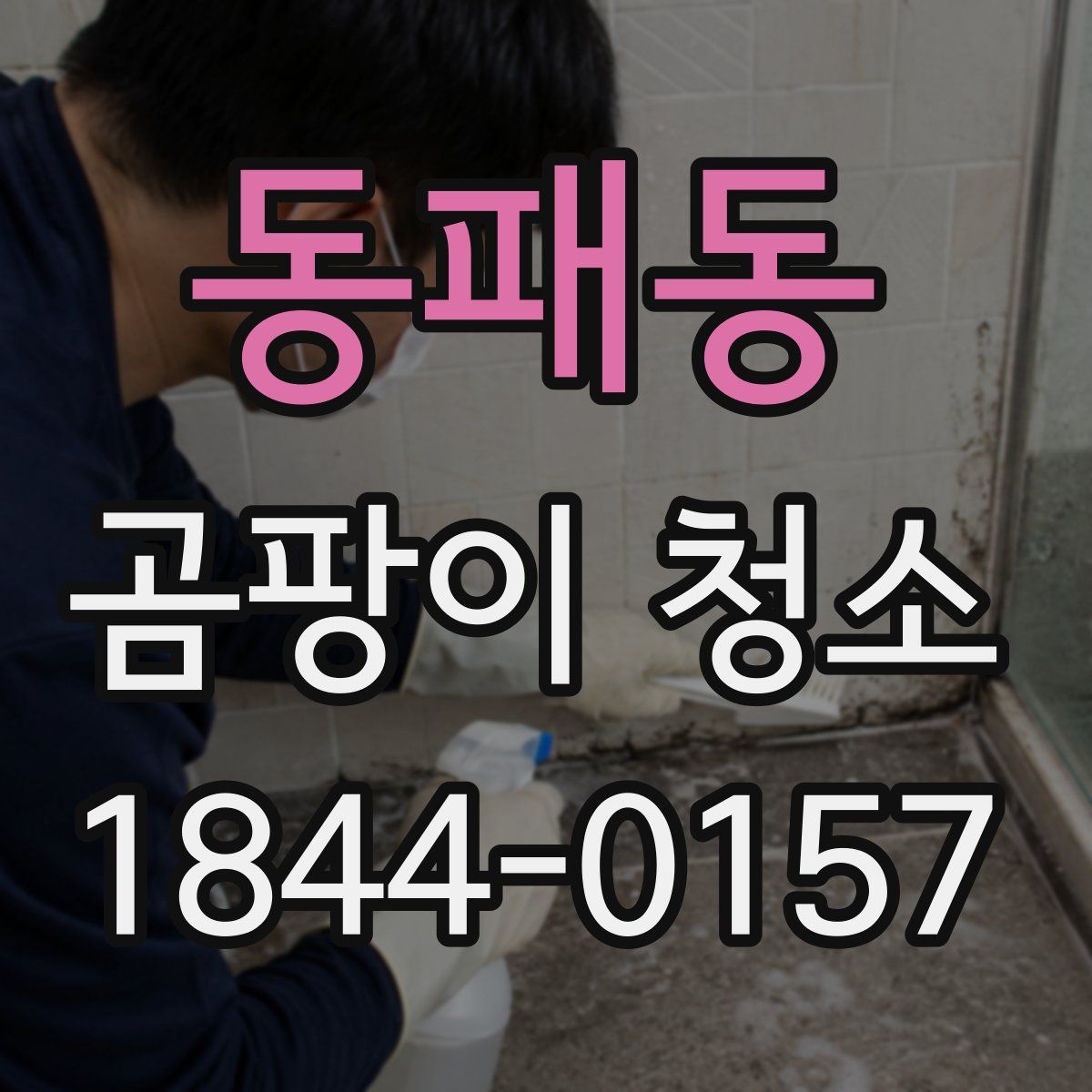 동패동 곰팡이 청소
