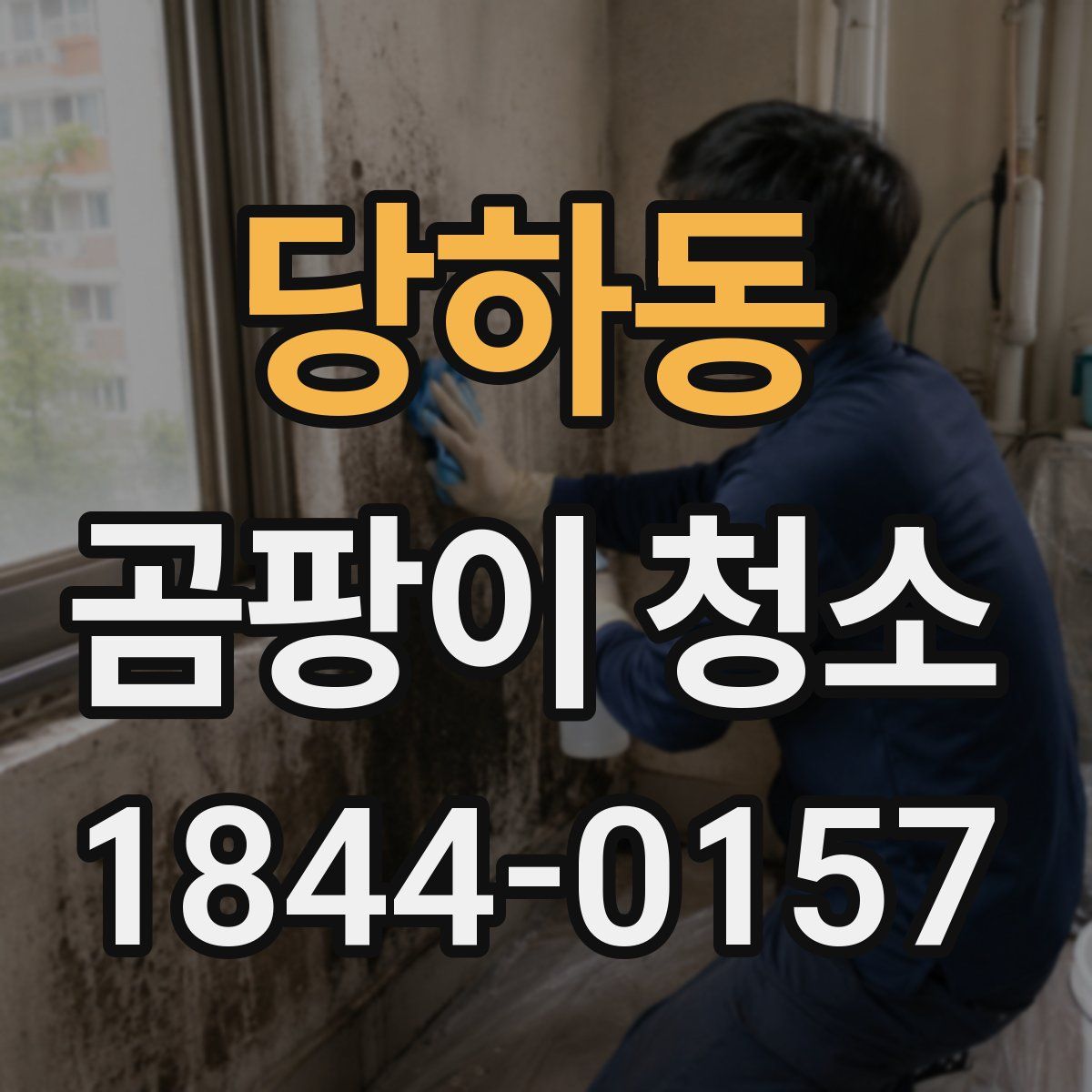 당하동 곰팡이 청소