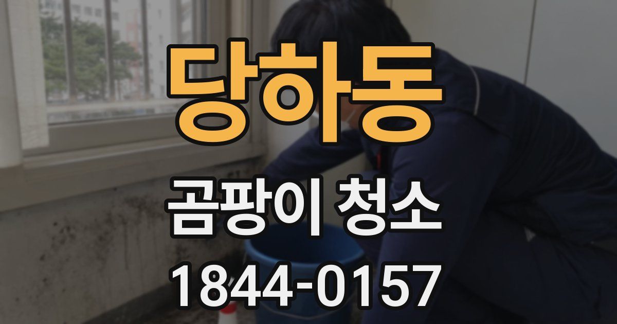 당하동 곰팡이 청소