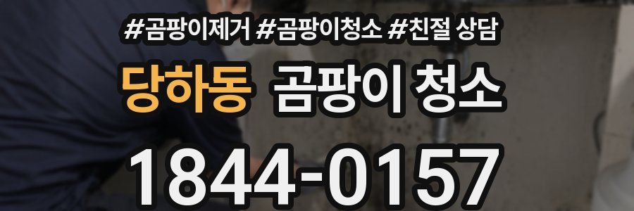 당하동 곰팡이 청소