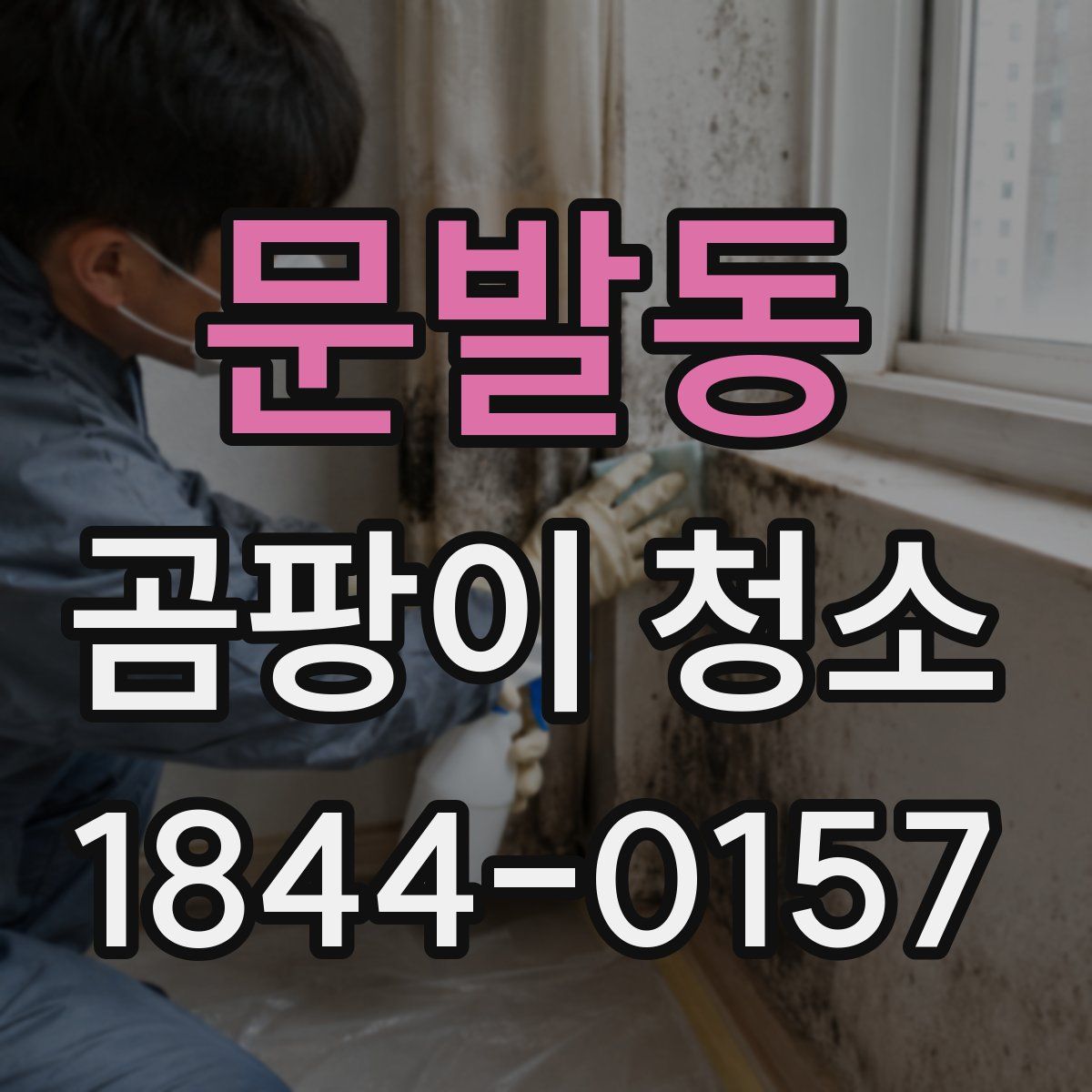 문발동 곰팡이 청소