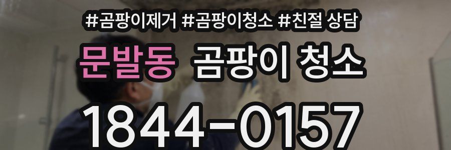 문발동 곰팡이 청소