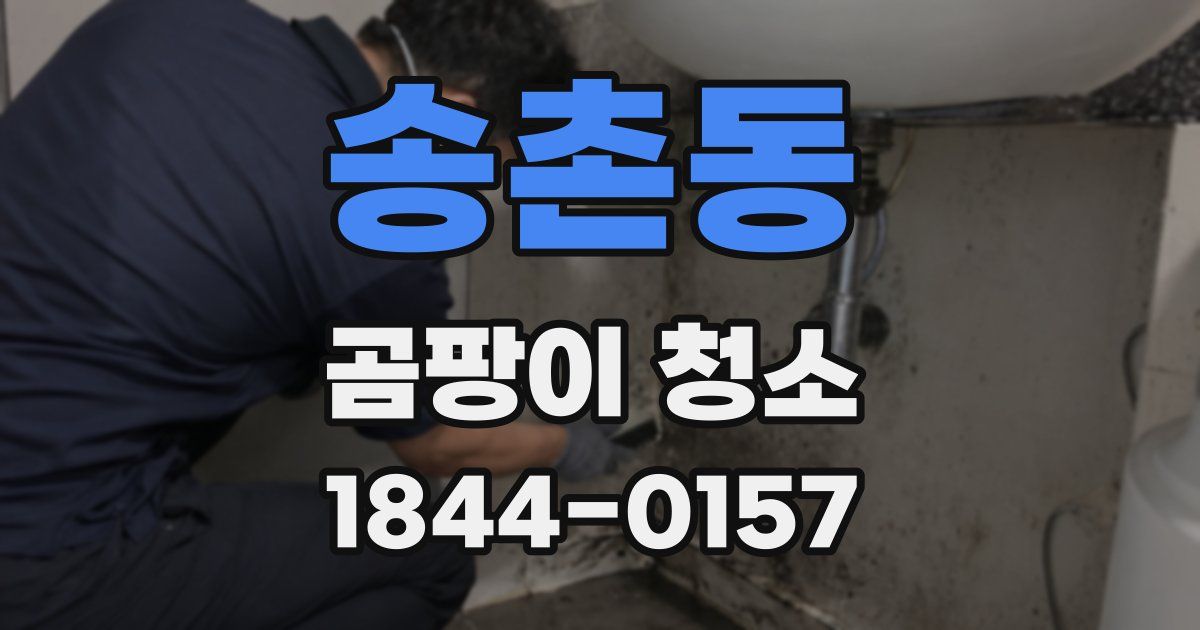 송촌동 곰팡이 청소