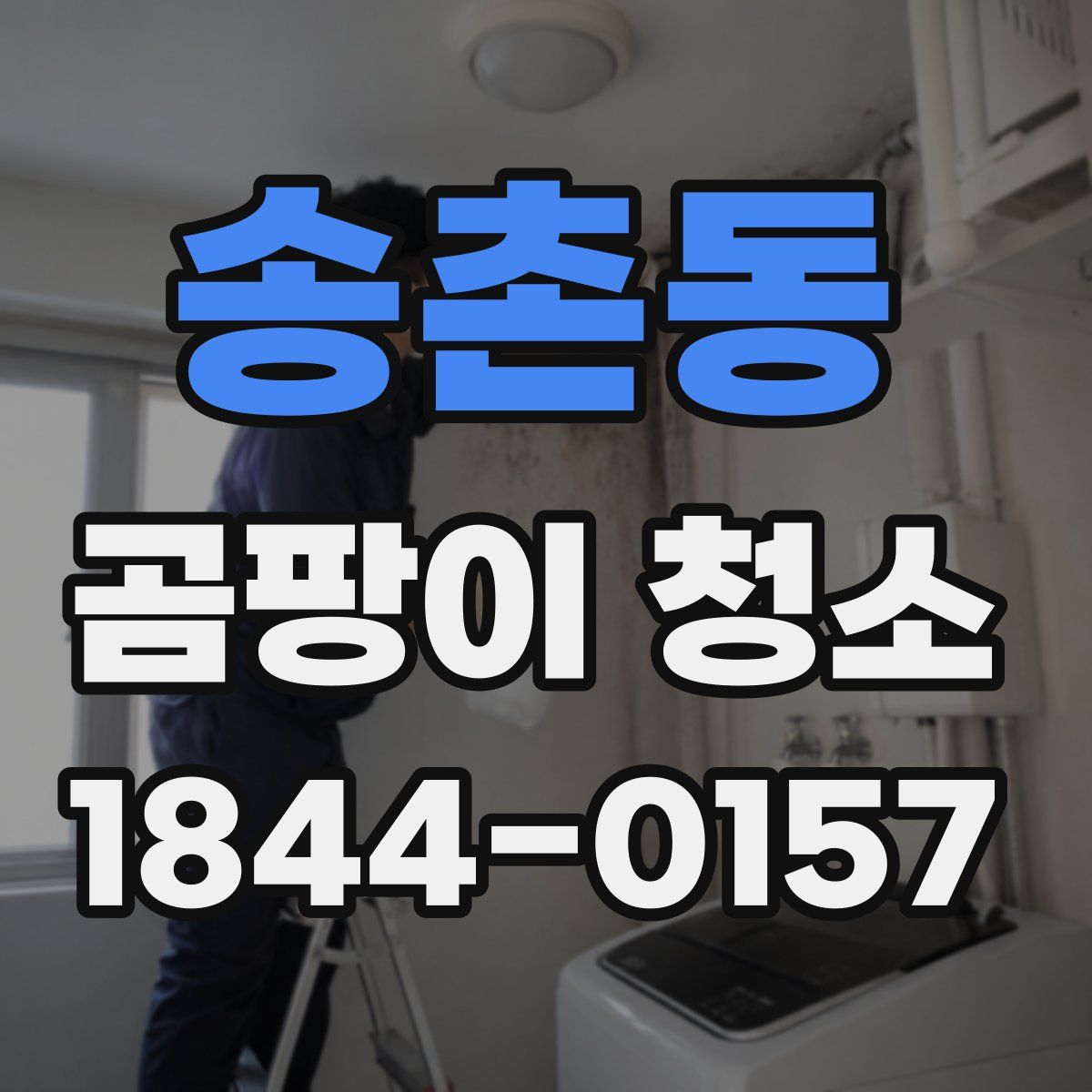 송촌동 곰팡이 청소