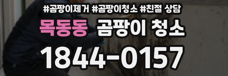 목동동 곰팡이 청소