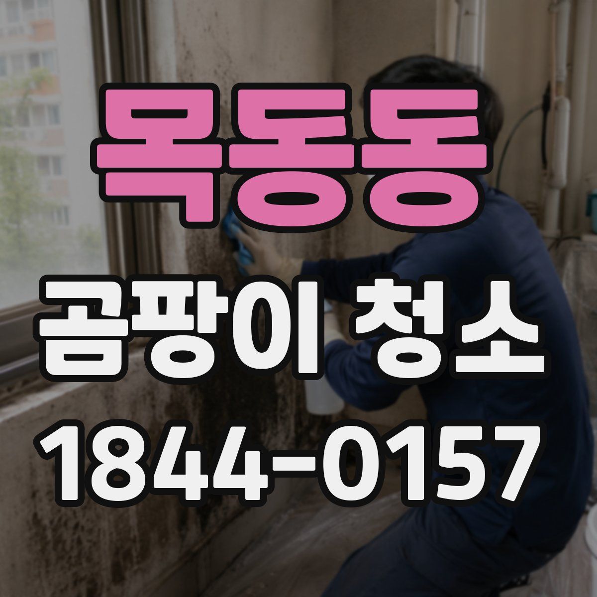 목동동 곰팡이 청소