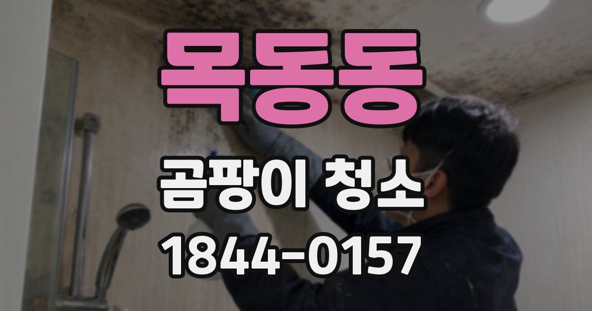 목동동 곰팡이 청소