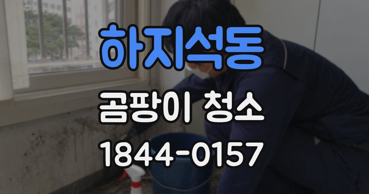하지석동 곰팡이 청소