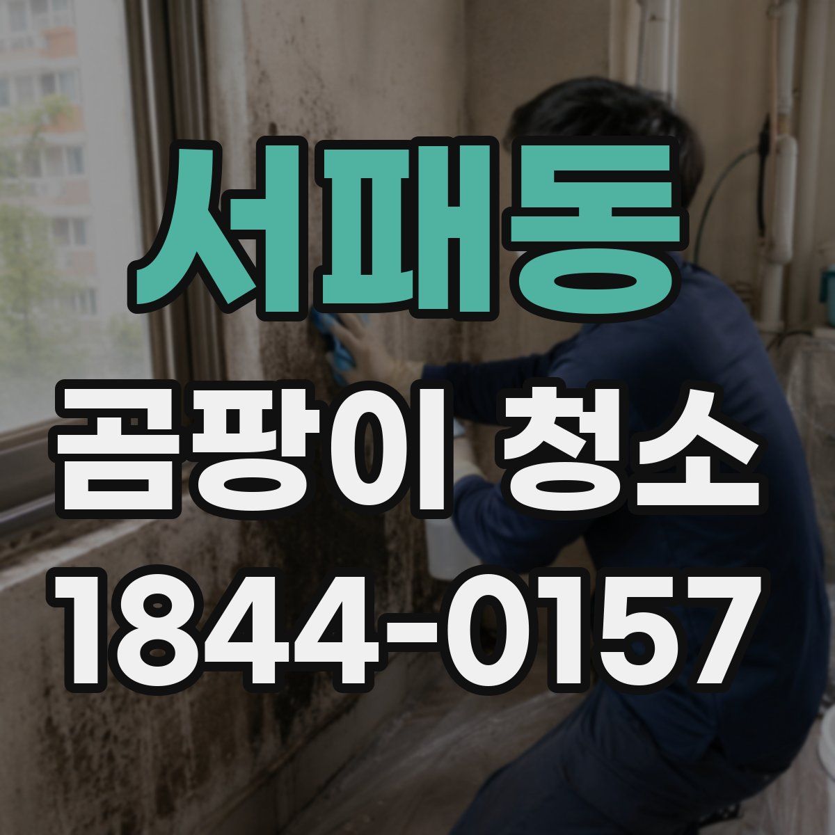 서패동 곰팡이 청소