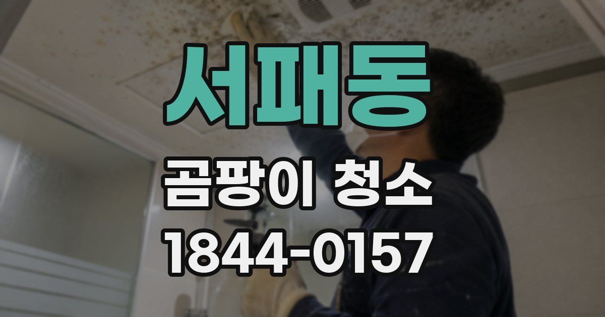 서패동 곰팡이 청소